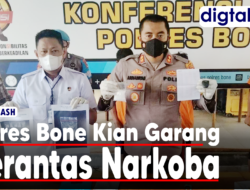VIDEO : Dalam Sepekan, Polres Bone Libas 4 Budak Sabu Lintas Kabupaten