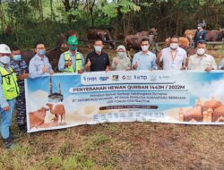 Sambut Idul Adha 2022, PT IMM Serahkan 96 Ekor Hewan Qurban