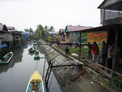Dewan Setuju Relokasi Buaya Guntung yang Masuk Pemukiman Warga