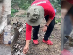 Jaga Tradisi Leluhur, Wakil Ketua DPRD Kaltim Nugal Bersama Masyarakat Desa Loa Duri Ilir