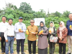 Video: PT KNI Gandeng Pemkab Kutai Timur Luncurkan Program Sidrap Berdikari