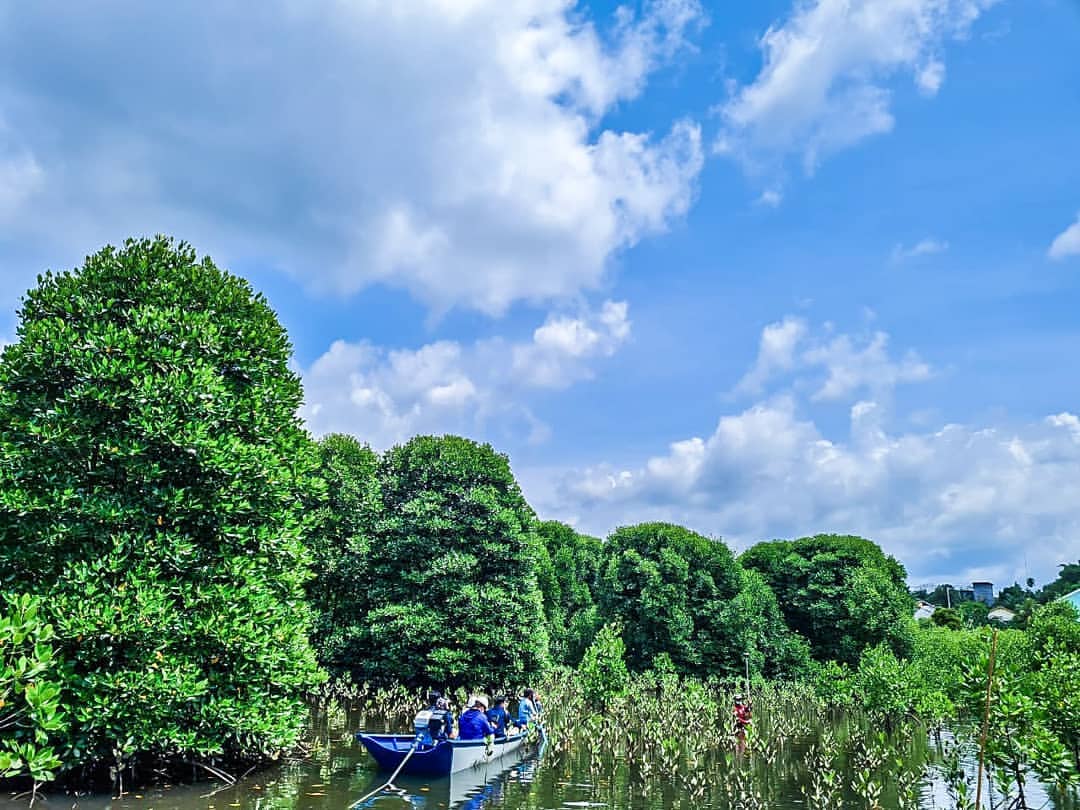 Andi Faiz Desak Pemkot Bontang Tindak Tegas Penebangan Mangrove Ilegal, Ancaman Serius bagi Ekosistem Pesisir