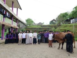 Ponpes Darus Salamah dan Ponpes Nurul Islam Tenggarong Seberang Terima Sapi Kurban dari Bupati Kukar