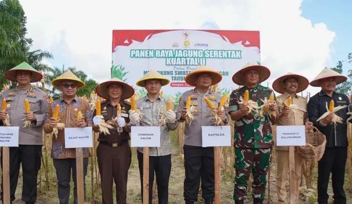 Fadly Imawan Hadiri Panen Raya Jagung Serentak di PPU