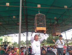 Wali Kota Cup 2025: Bontang Jadi Magnet Nasional Pecinta Burung, Ajang Silaturahmi dan Ekonomi Kreatif
