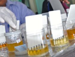 Tes Urin Mendadak BNNK Bontang, Empat ASN Positif Narkoba Langsung Dijatuhi Sanksi Tegas