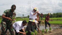 Mahulu Percepat Pembangunan Sawah Baru untuk Cegah Krisis Pangan Terulang