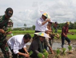 Mahulu Percepat Pembangunan Sawah Baru untuk Cegah Krisis Pangan Terulang