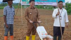 Belajar dari Kelangkaan Beras, Mahulu Mantapkan Langkah Menuju Kemandirian Pangan