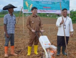 Belajar dari Kelangkaan Beras, Mahulu Mantapkan Langkah Menuju Kemandirian Pangan