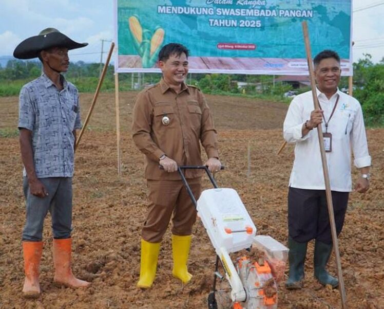 Belajar dari Kelangkaan Beras, Mahulu Mantapkan Langkah Menuju Kemandirian Pangan
