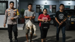 Pasutri Diduga Otak Pencurian Berantai di Bontang, Bebek hingga Aki Mobil Jadi Sasaran