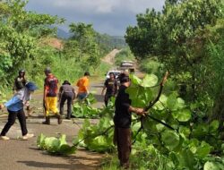 Jalur Menuju Jembatan Ferrari Rawan Kecelakaan dan Jadi Tempat Sampah Liar, Pemdes Asuli Bergerak Bersihkan dan Tebang Pohon