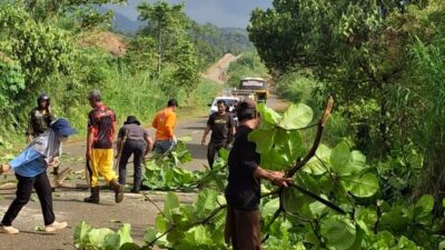 Jalur Menuju Jembatan Ferrari Rawan Kecelakaan dan Jadi Tempat Sampah Liar, Pemdes Asuli Bergerak Bersihkan dan Tebang Pohon