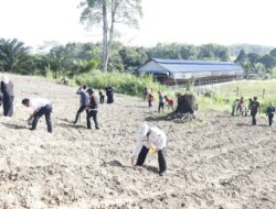 DKP3 Bontang Hidupkan Kembali Gerakan Tanam Jagung, Lahan Tidur Disulap Jadi Sumber Pangan dan Penghasilan