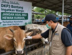 DKP3 Bontang Imbau Warga, Jangan Asal Beli Hewan Kurban, Perhatikan Kesehatan dan Asal Usulnya