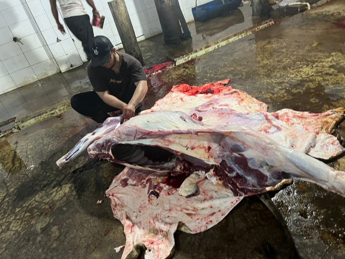 RPH Bontang Jadi Andalan Saat Iduladha, Tapi Kapasitas Terbatas: DKP3 Siapkan Tim Keliling Awasi Pemotongan Kurban