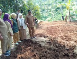 Uji Kelayakan BUMDes Bangkit Cijambe Digelar, Pemdes Optimistis Usaha Bebek Petelur Dongkrak Ekonomi Warga