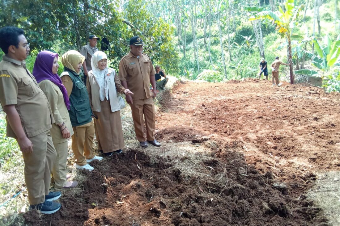 Uji Kelayakan BUMDes Bangkit Cijambe Digelar, Pemdes Optimistis Usaha Bebek Petelur Dongkrak Ekonomi Warga