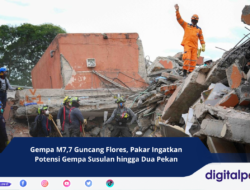 Gempa M7,7 Guncang Flores, Pakar Ingatkan Potensi Gempa Susulan hingga Dua Pekan
