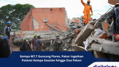 Gempa M7,7 Guncang Flores, Pakar Ingatkan Potensi Gempa Susulan hingga Dua Pekan