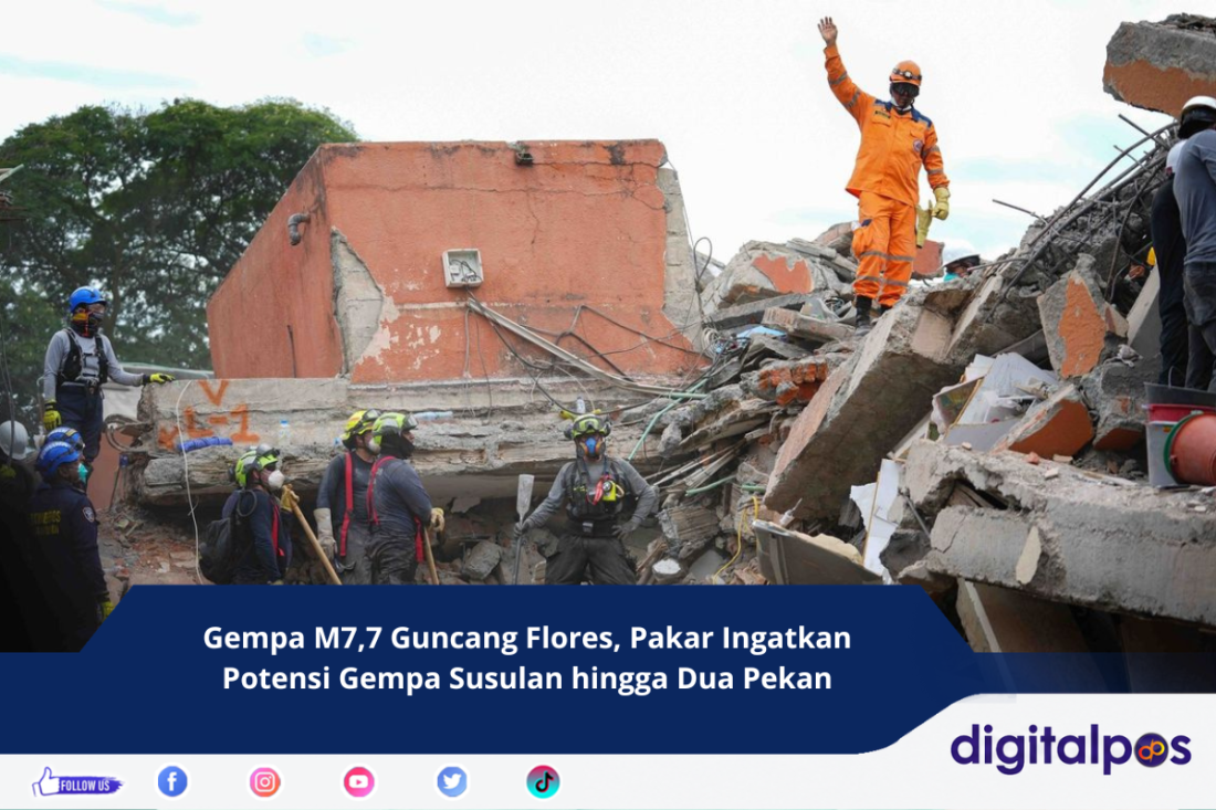 Gempa M7,7 Guncang Flores, Pakar Ingatkan Potensi Gempa Susulan hingga Dua Pekan