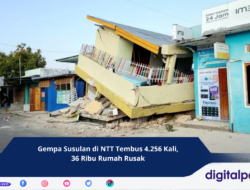 Gempa Susulan di NTT Tembus 4.256 Kali, 36 Ribu Rumah Rusak