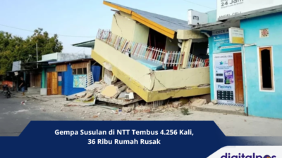 Gempa Susulan di NTT Tembus 4.256 Kali, 36 Ribu Rumah Rusak