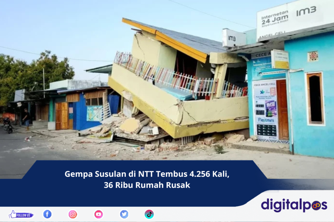 Gempa Susulan di NTT Tembus 4.256 Kali, 36 Ribu Rumah Rusak