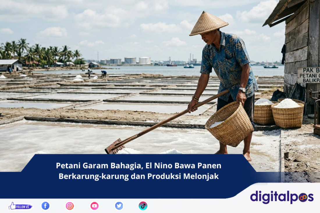 Petani Garam Bahagia, El Nino Bawa Panen Berkarung-karung dan Produksi Melonjak