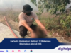Karhutla Hanguskan Habitat, 12 Bekantan Ditemukan Mati di HSS