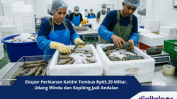 Ekspor Perikanan Kaltim Tembus Rp65,39 Miliar, Udang Windu dan Kepiting Jadi Andalan