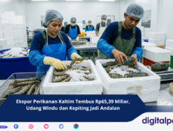 Ekspor Perikanan Kaltim Tembus Rp65,39 Miliar, Udang Windu dan Kepiting Jadi Andalan